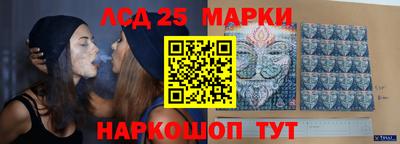 дмт Сланцы