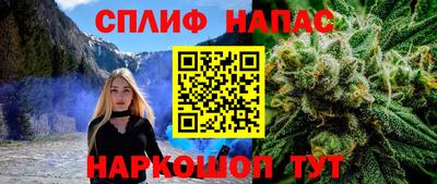 дмт Сланцы
