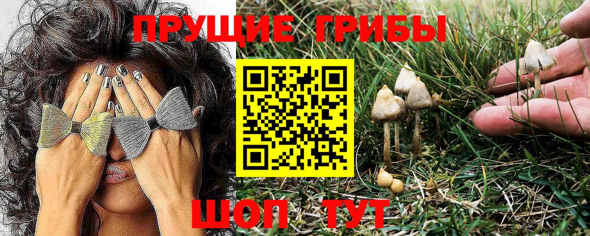 Галлюциногенные грибы GOLDEN TEACHER  Псилоцибиновые грибы Cubensis  Полысаево  Вход с VPN 