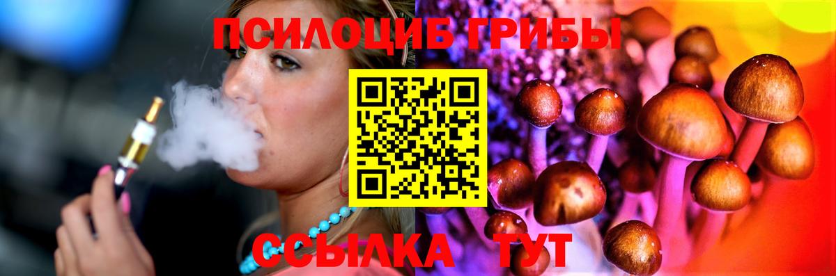 Псилоцибиновые грибы GOLDEN TEACHER Полысаево